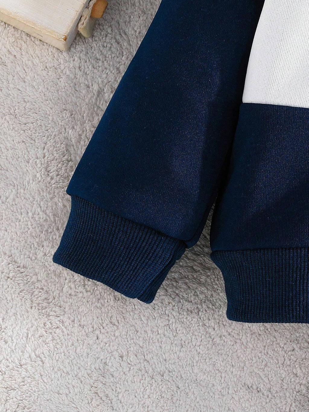 Blue Panel Dinosaur Winter Kids Suit