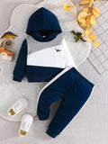 Blue Panel Dinosaur Winter Kids Suit