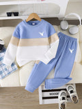 Sky Blue Panel Winter Kids Suit