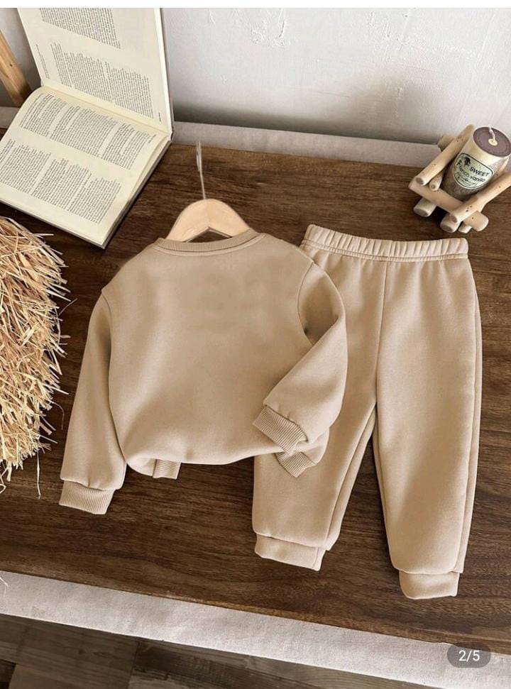 Teddy Bear Printed Winter Kids Suit